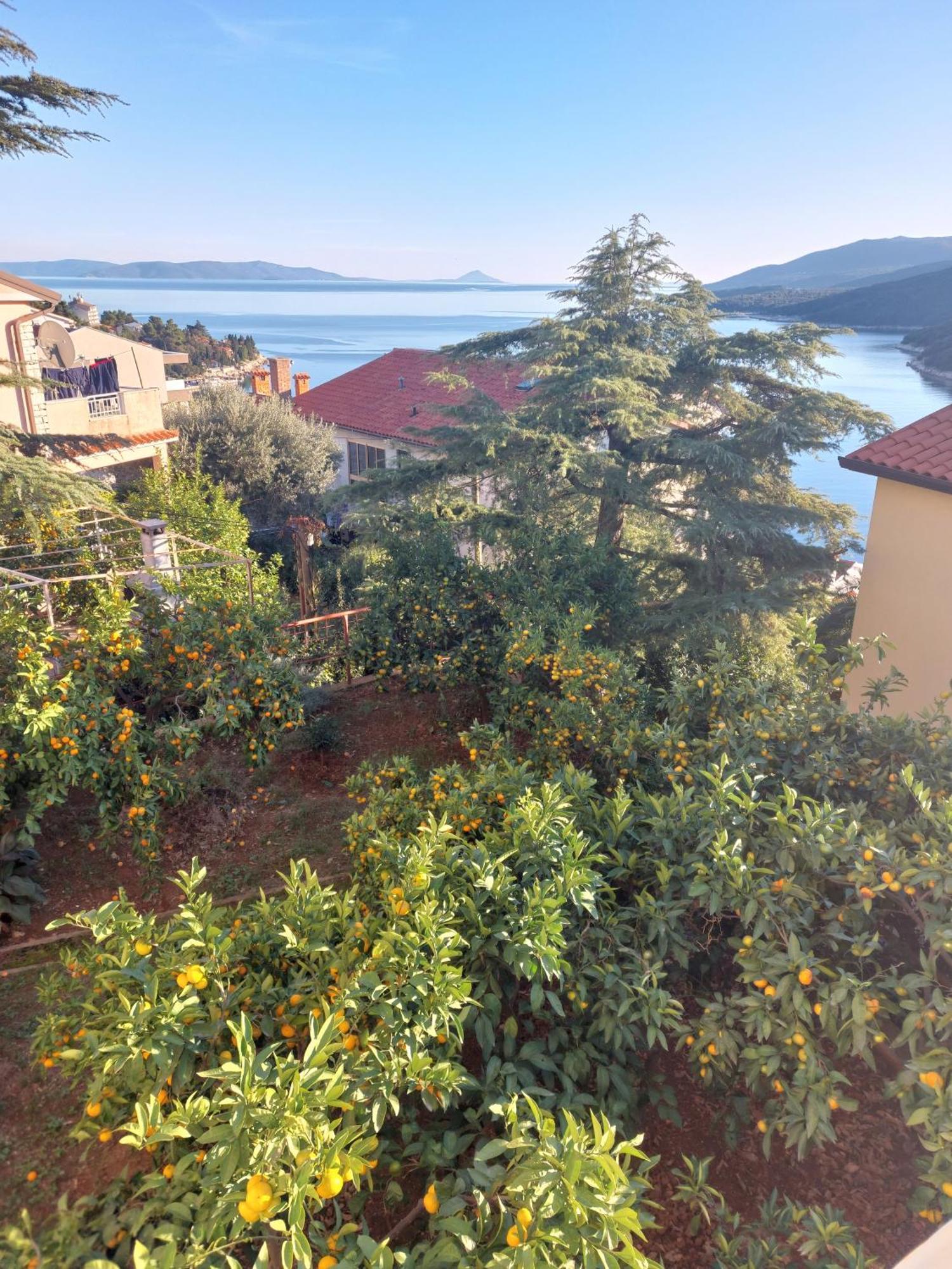 Apartment Park Rabac Ngoại thất bức ảnh